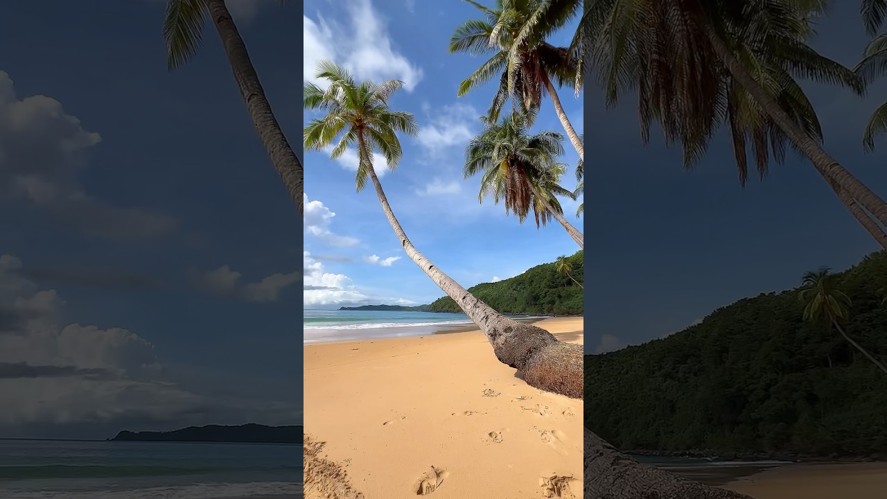 YouTube Short thumbnail