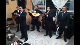 VIOLETAS IMPERIALES. "LOS IMPERIALES DE LALO HUITRON"