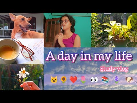 A day in my life🌞|Study vlog💗👀|Nature vibes|🍄🌵