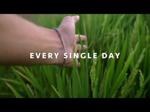 EVERY SINGLE DAY | Clara Moroni