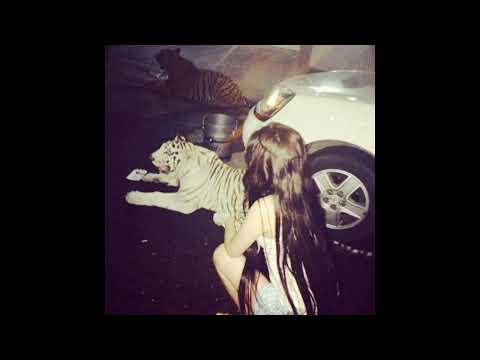 sh4nks - ela volta ft puto roger