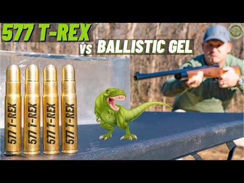 577 Tyrannosaur vs Ballistic Gel !!! 🦖