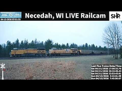 Live webcam view of Necedah Railcam