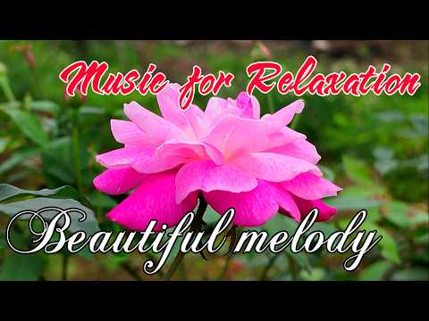 Music for Relaxation and helps reduce stress, Beautiful melody, Relaxing music beautifies the soul
