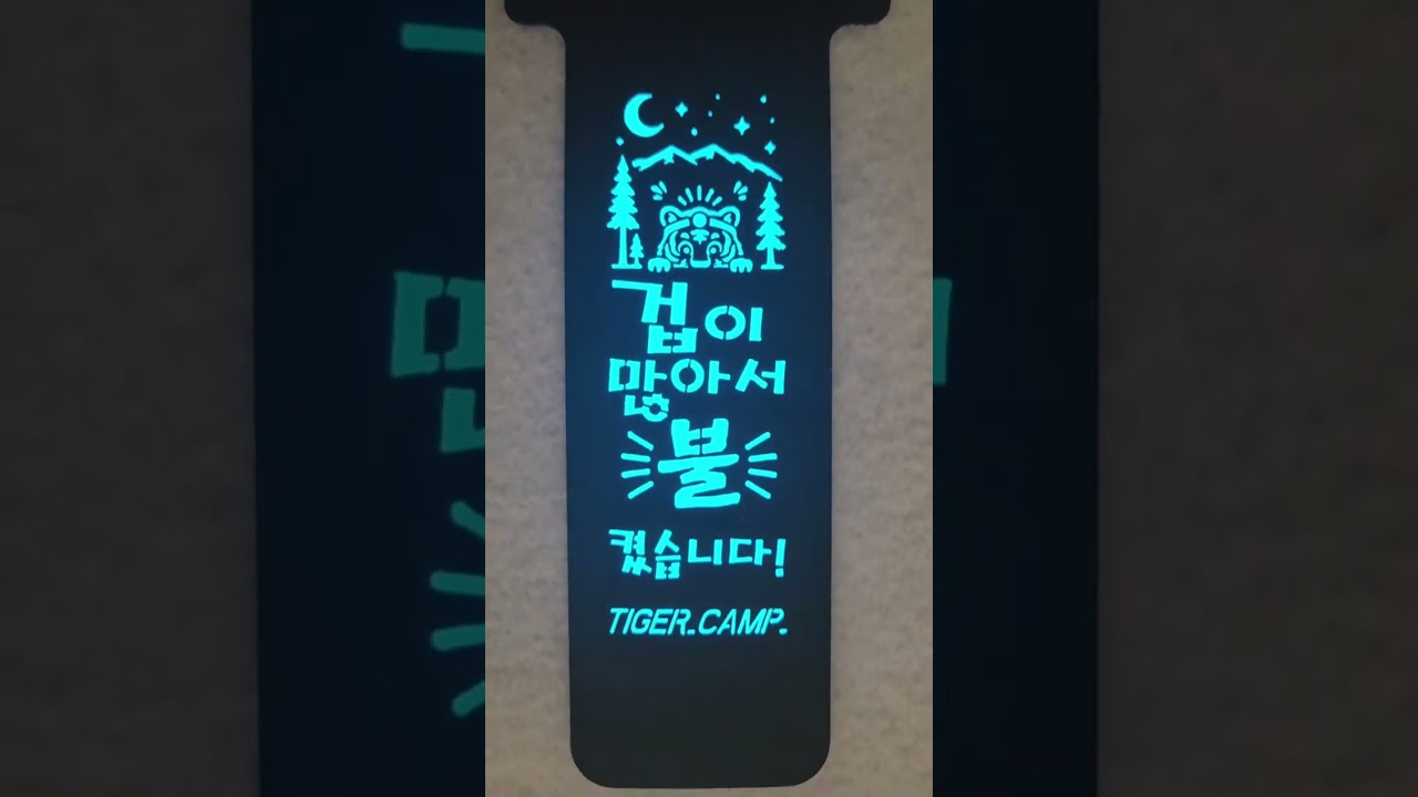 루미택[타이거 캠프_겁이 많아서 불 켰습니다.]