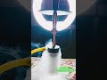 Whatsapp Hookah Status Hookah Lovers Hookah Lounge Best Hookah Party Hookah Punjabisong Shorts