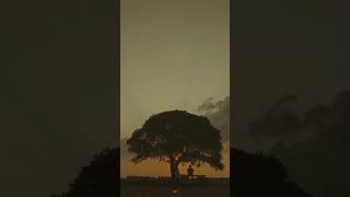 Download lagu STORY WA aesthetic inilah akhirnya harus kuakhiri slowed /  memilih setia mp3