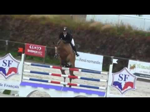 For Sale: 7 yo SF gelding   Toulon x Diamant de Semilly