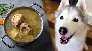 How To Make Bone Broth For Dogs 🦴 DIY Dog Treats