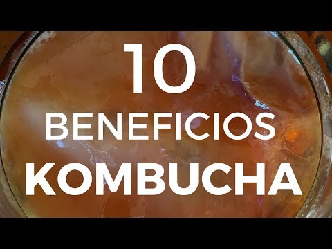 download lagu mp3 mp4 Kombucha Te, download lagu Kombucha Te gratis, unduh video klip Kombucha Te