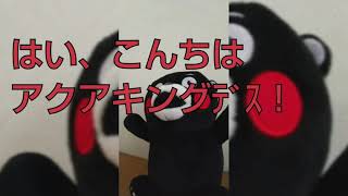 アクアキングの今後と登録者急増について