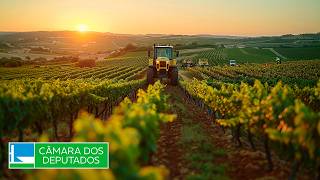  Discussão e votação de propostas legislativas - 04/03/2026 10:00