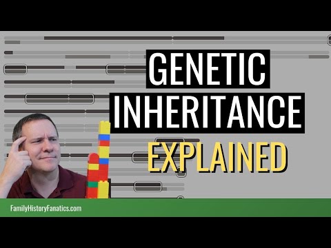How DNA Inheritance Impacts Your DNA Results | Genetic Genealogy Explained Video