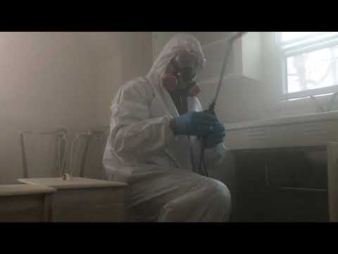 Pest Control & Real Estate in Red Bank, NJ