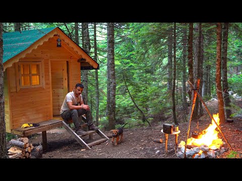 Acampar en una Cabaña de Madera con Mi Perro - Cocinar - Sonidos de la Naturaleza
