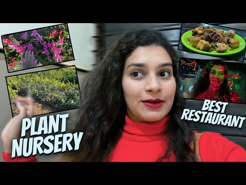 I WENT TO PLANT NURSERY IN KARNATAKA THEN HAD MY DINNER AT BEST RESTAURANT IN KARNATAKA | VLOGS |
