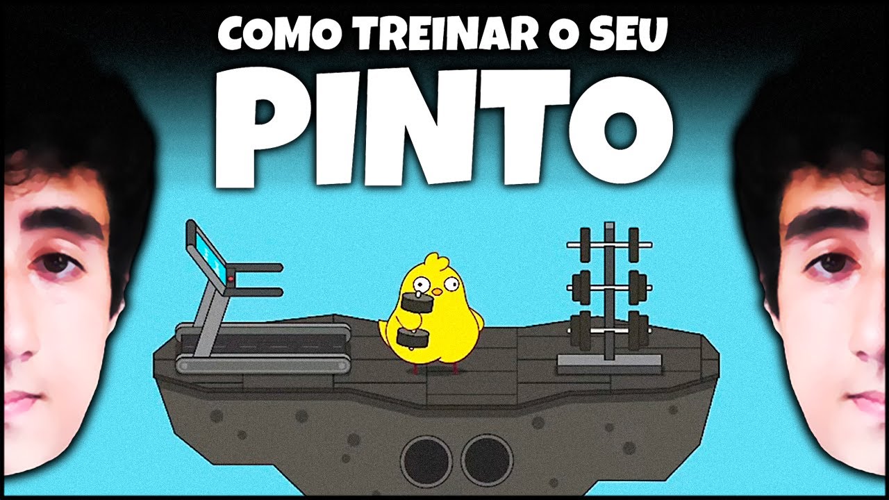 FELPINTO 🐥 Como Treinar seu Pinto | Felps