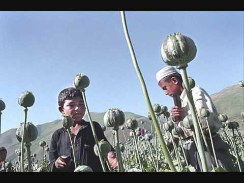 AF-Gun - Voor al mijn kleine broertjes en zusjes in Afghanistan..wmv