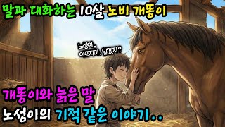 Download lagu 말과 대화하는 10살 노비 개똥이,천한 노비에서 마정관까지.. 개똥이와 늙은 말 노성이의 기적 같은 이야기 mp3 Download lagu 말과 대화하는 10살 노비 개똥이,천한 노비에서 마정관까지.. 개똥이와 늙은 말 노성이의 기적 같은 이야기 mp3