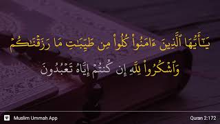 Download lagu Al-Baqarah ayat 172 mp3