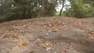 preview picture of video 'Aom Ruedi Forest Park, Ban Si Charoen, Udon Thani province, Thailand 2'