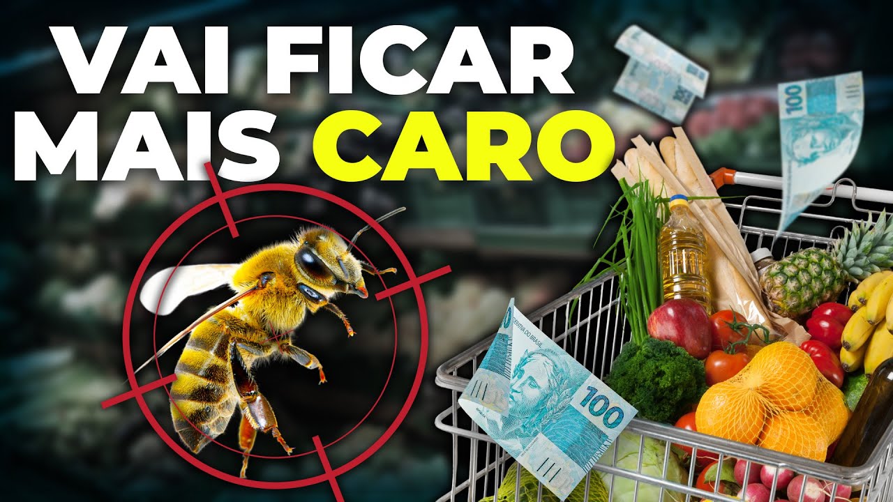 Bees Are Vanishing and Leaving Us Without Food