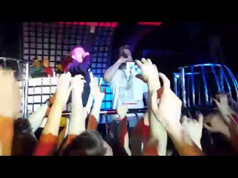 Arena Kokocko Gang Albanii