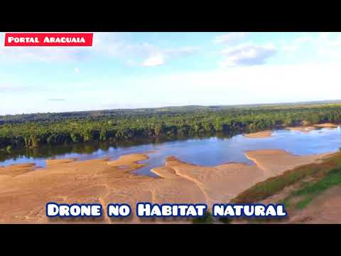 DRONE NA PRAIA HABITAT NATURAL