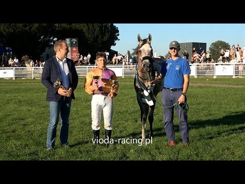 Gon. VIII - 16.09.2023 - Encarino (Shiraz De Lafon - Eneria)