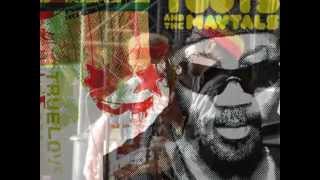 Toots &amp; The Maytals Feat.Willie Nelson - Still Is Still Moving to Me(True Love)(2004)