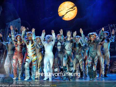 CATS WIEN 2012 Part 1