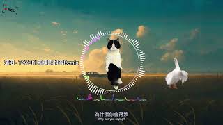落泪 - TOYOKI × 和康熙 | TikTok Remix | 中英字幕 Lyrics