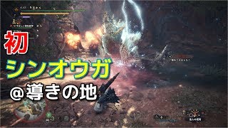 【MHW:IB】初見ジンオウガ＠導きの地【モンスターハンター/アイスボーン】