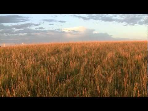 Consciousness:Spirit-Travel, Peyote, and Doubt