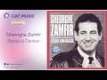 Gheorghe Zamfir - Sarba lui Damian