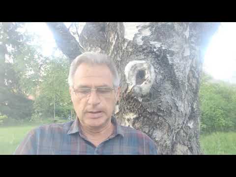 Kitap Önerisi 13 - Büyük Resim - Sean Carroll