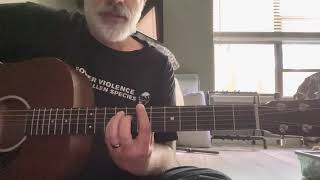 CANT DECIDE | BLACK FLAG | guitar lesson