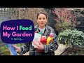 How I FEED MY GARDEN In Spring