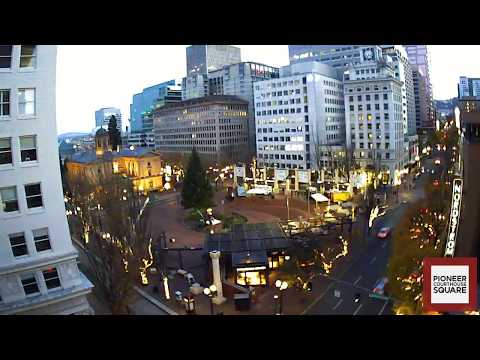 2018 Holiday Season Time Lapse - Tree Arrival Ceremony through Tree Lighting Ceremony