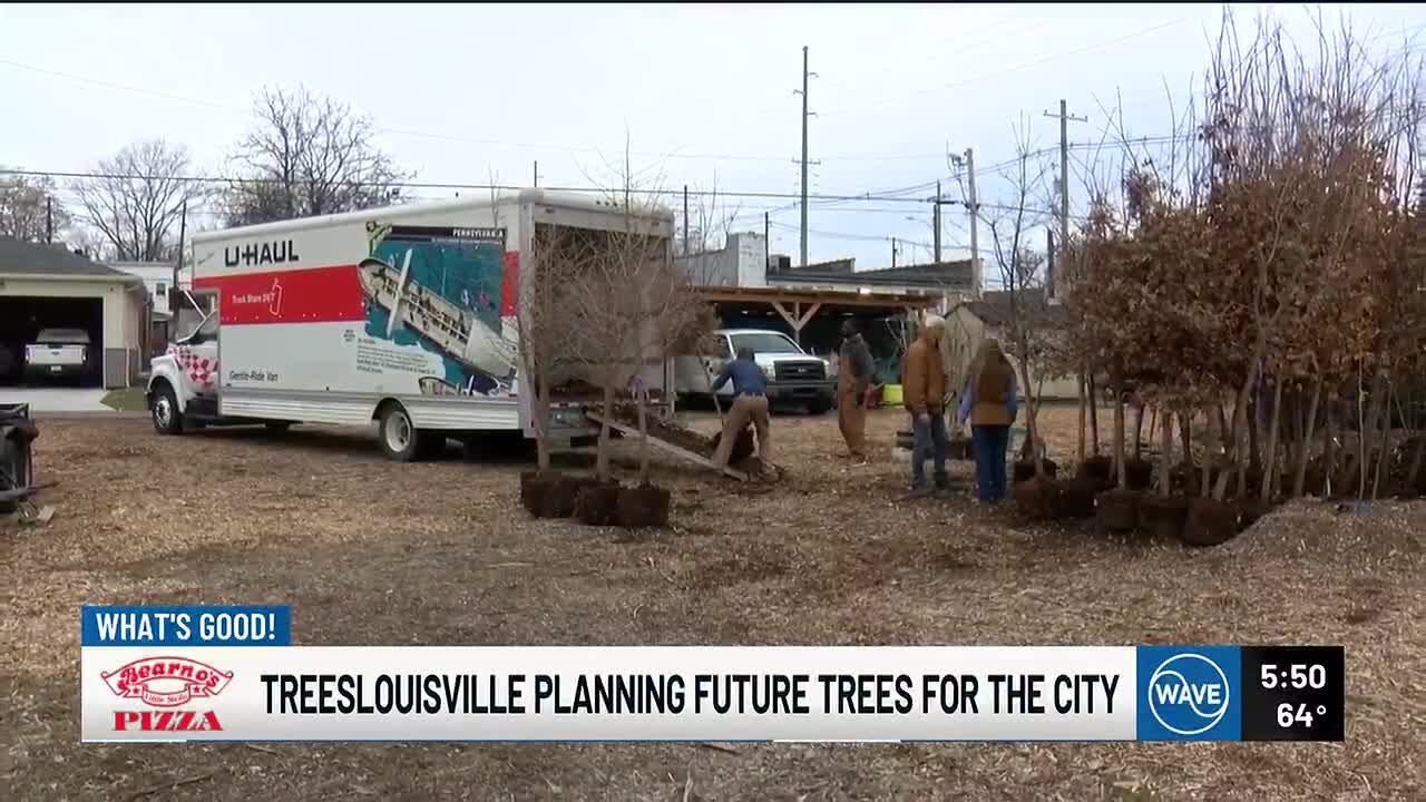 Organization plants 50 trees from different climates to prepare for environmental changes