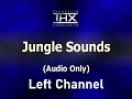 Jungle Sounds 5 1 THX Surround EX Audio Demonstration Left Channel