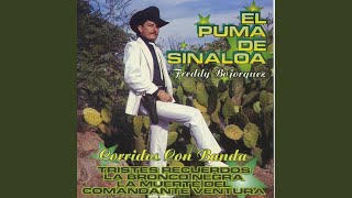 La Muerte Del Comandante Ventura