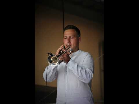 Tanie Dranie   Bez śladu