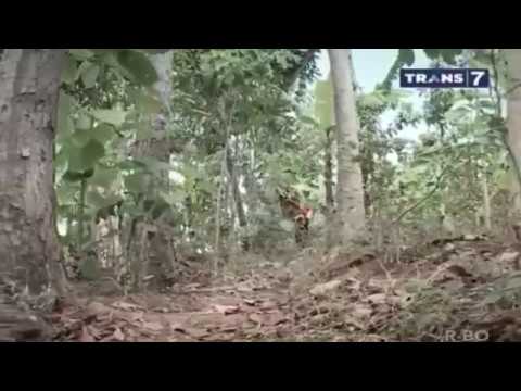 PERNIK KEHIDUPAN ORANG PINGGIRAN - WATIAH BURUH SERABUTAN !!