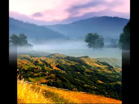 Bozidar Vekic i NO RTB   Banjski cacak