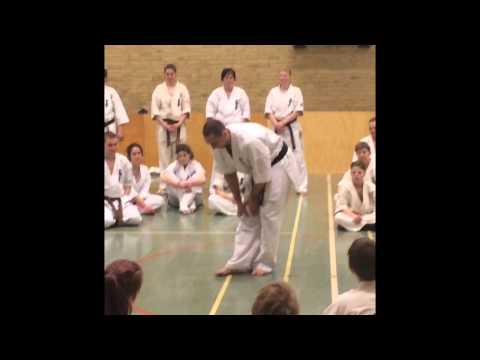 Fighting Seminar with Sensei Valeri Dimitrov Part 1