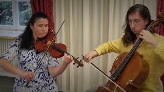 Anna - Violine, Geige, Musiker, Cover