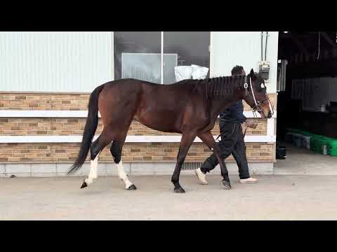 {{itemName}}_video_thumbnail