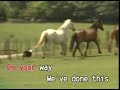 Horsey Horsey Canary