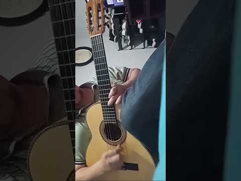 enamorado trio los diplomaticos #ecuador